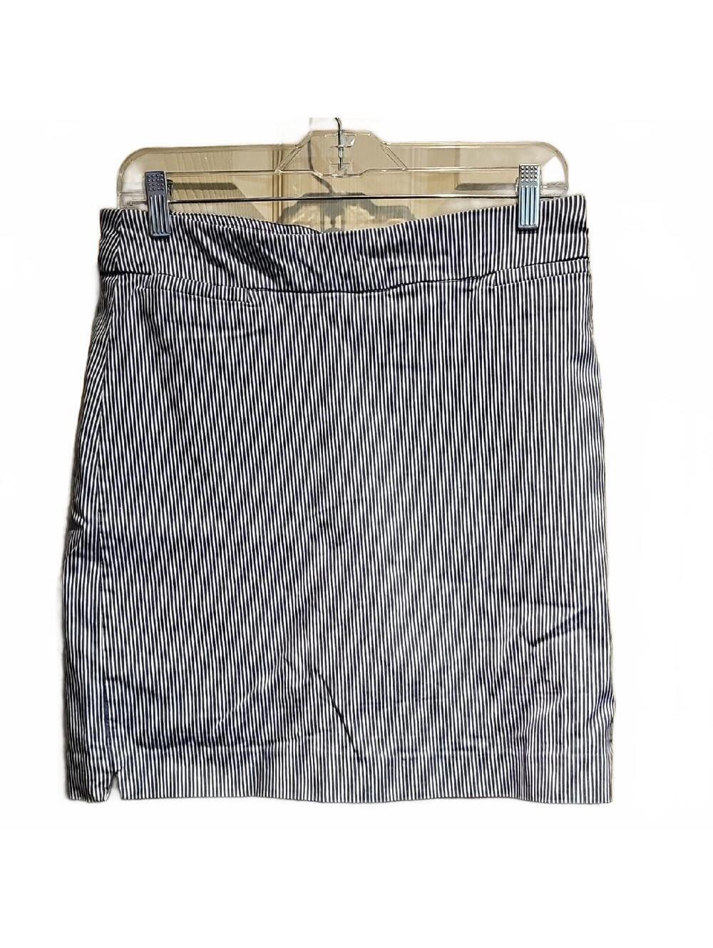 Briggs Striped Blue and White Skirt size 10